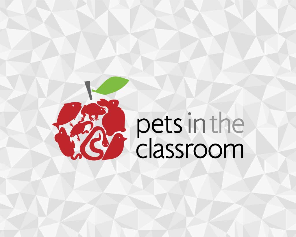 Spiders in the Classroom – Oh My! ~ Pets in the Classroom